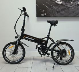 Adult E-Bike