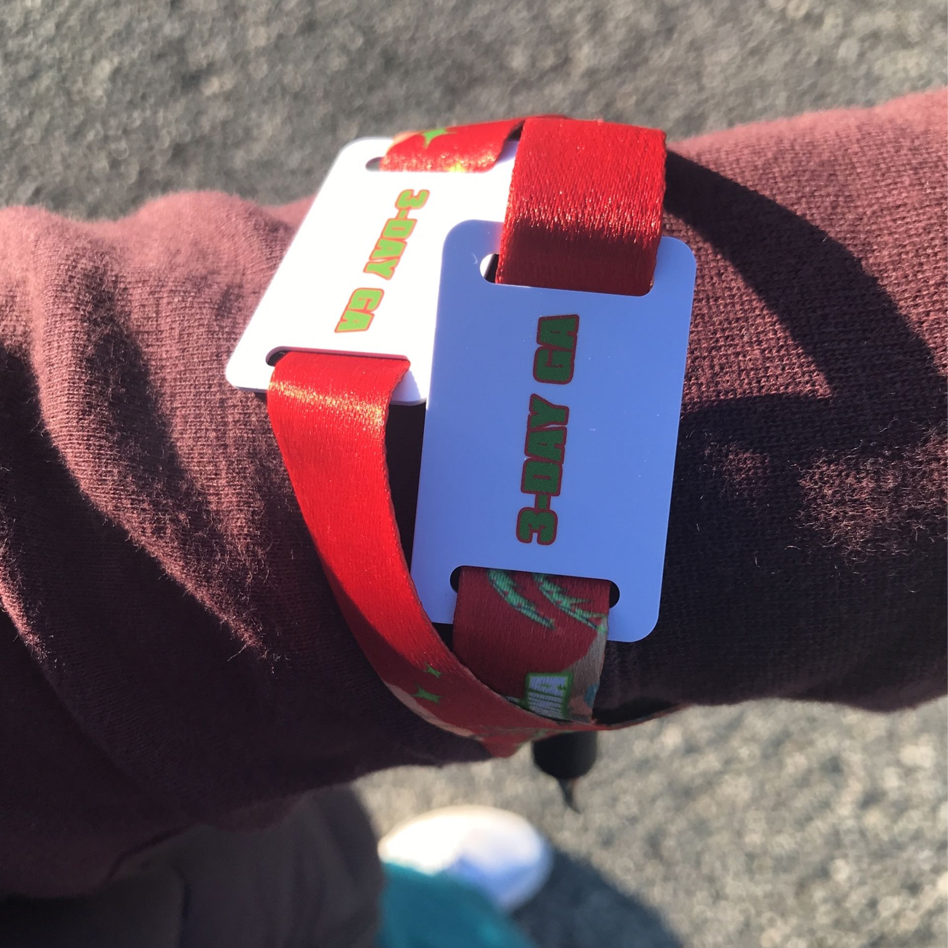 Rolling Loud Wristbands