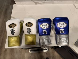 Boxing Gloves 