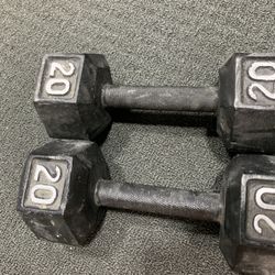 Dumbbells  (2x20lbs)