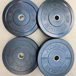 Rogue HG 2.0 and Mil Spec Echo Bumper Plates