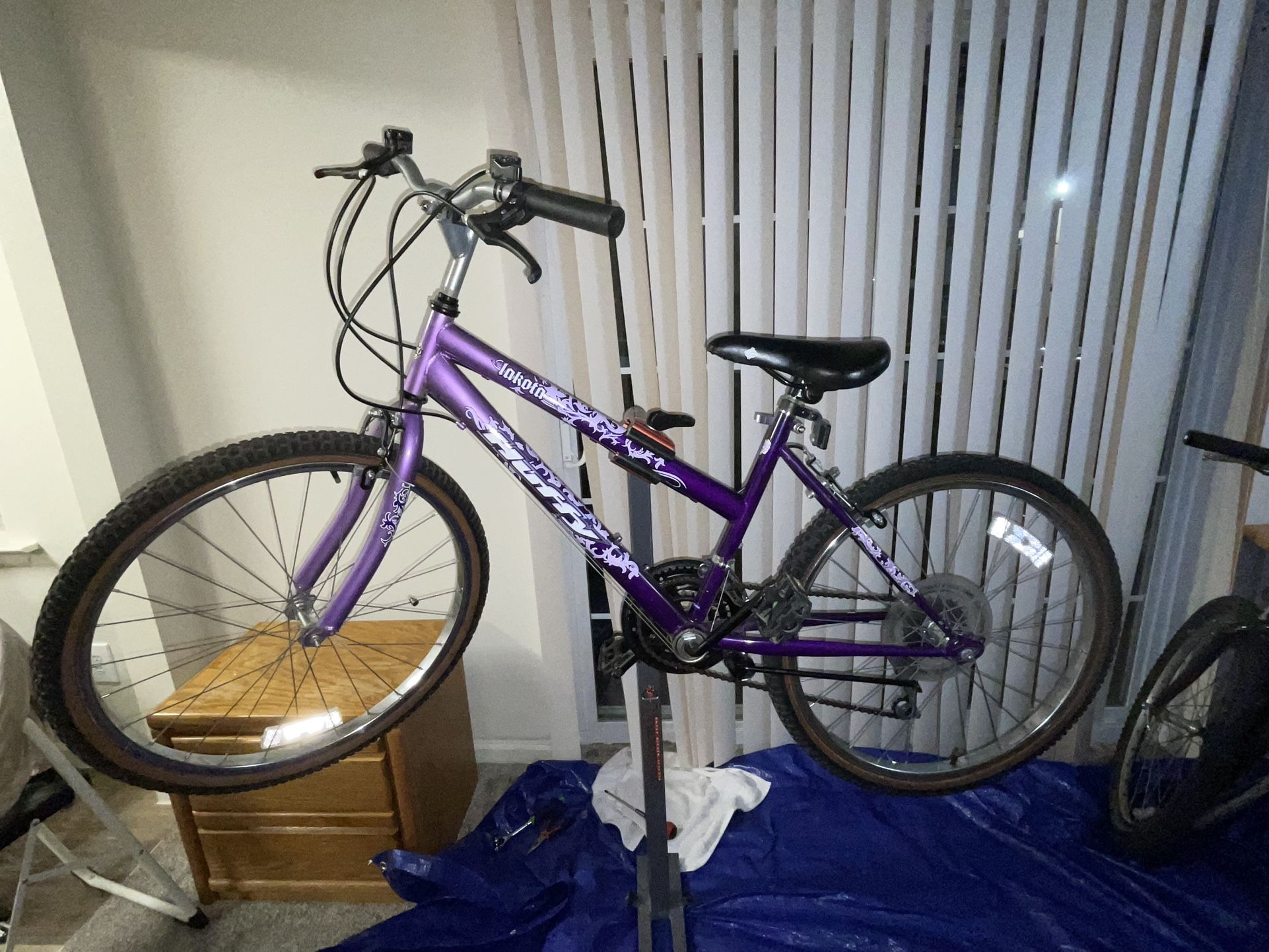 Girl’s 24” Mountain Bike