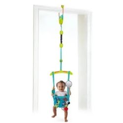 Bright Starts Bounce And Swing Deluxe Door Jumper 