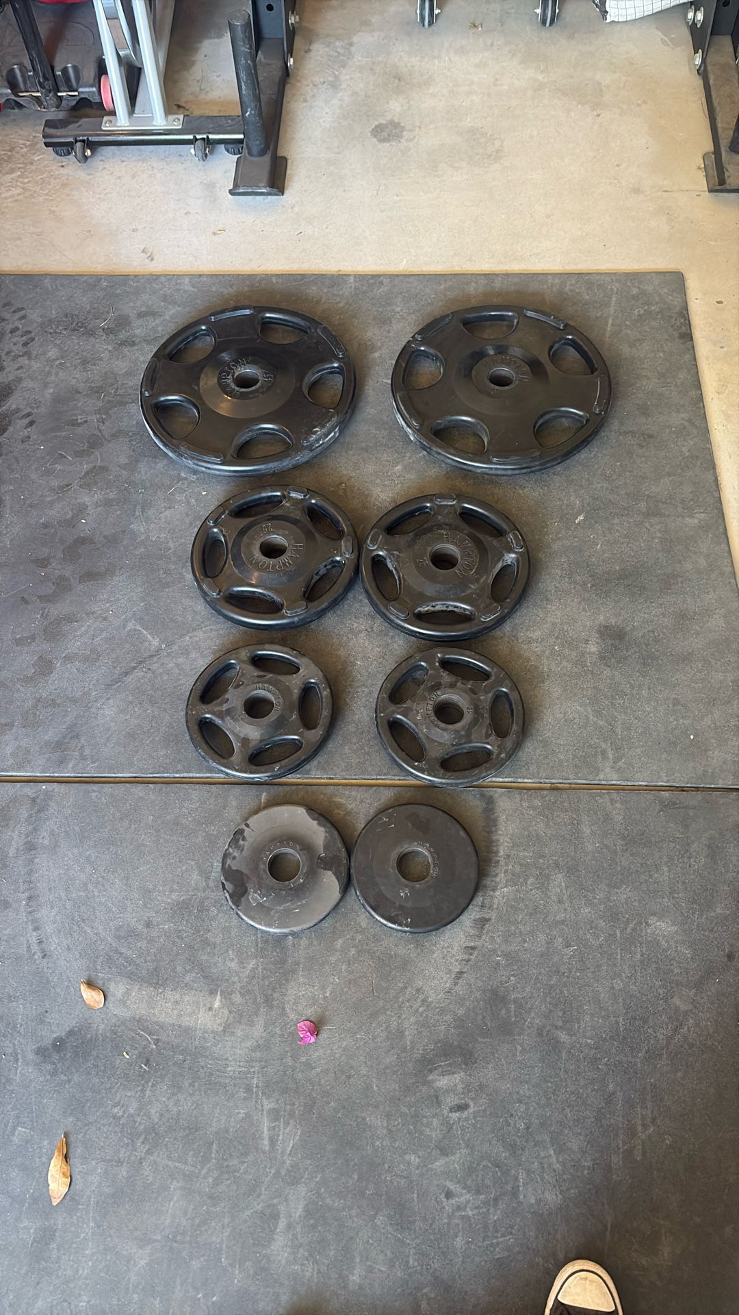 Hamilton Olympic Plates