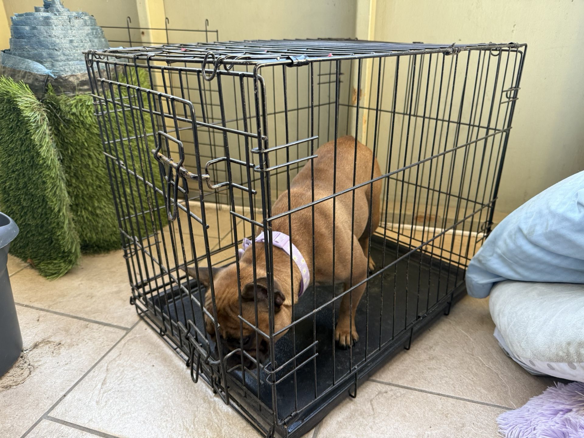 Dog Crate Small