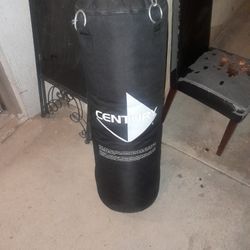 Century Punching Bag Mint Condition