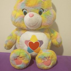 Care Bear Plush 