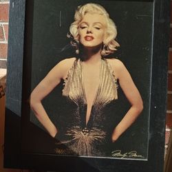 Marilyn Monroe Picture. Collectors Item.