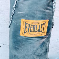 40 lb Everlast Leather Punching Bag