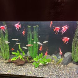 Fish Tank Aquarium Decoration