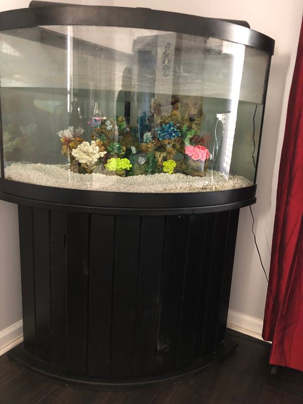 45 gallon corner fish tank w/ all accessories and filter