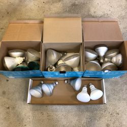 Flood Light Bulbs For Sale