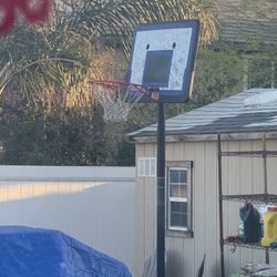 Basketball Stands