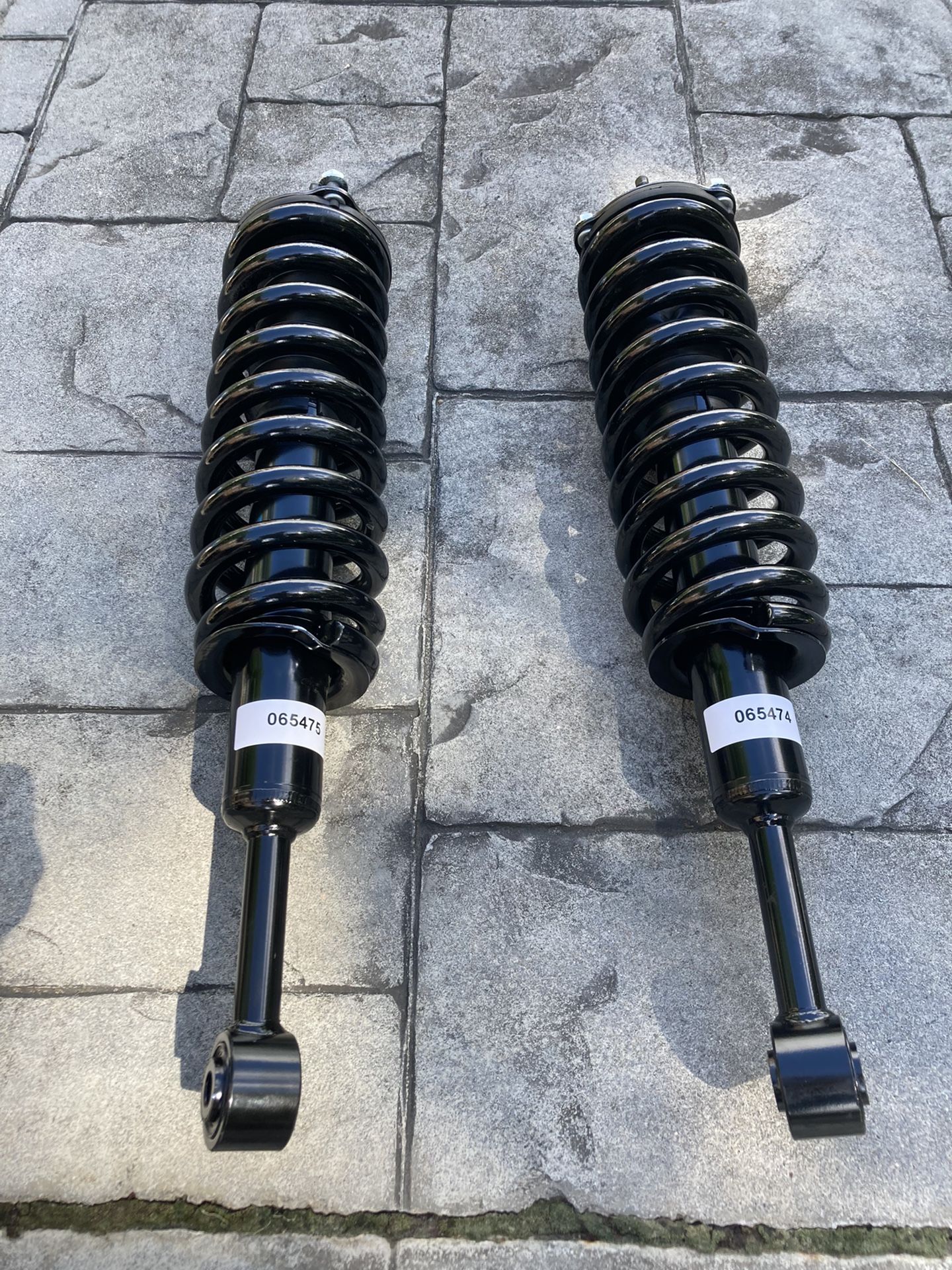 Pair Of Complete Strut Assemblies