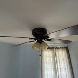 Ceiling Fan