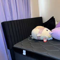 Free Queen Bed To Someone In Need