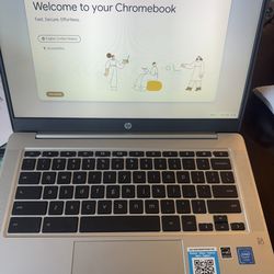 On Hold: HP Chromebook (14a-na0010nr) 14" Silver Laptop Intel Wi-Fi, Bluetooth, Webcam