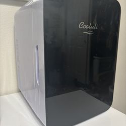 Skin Care Mini Fridge 