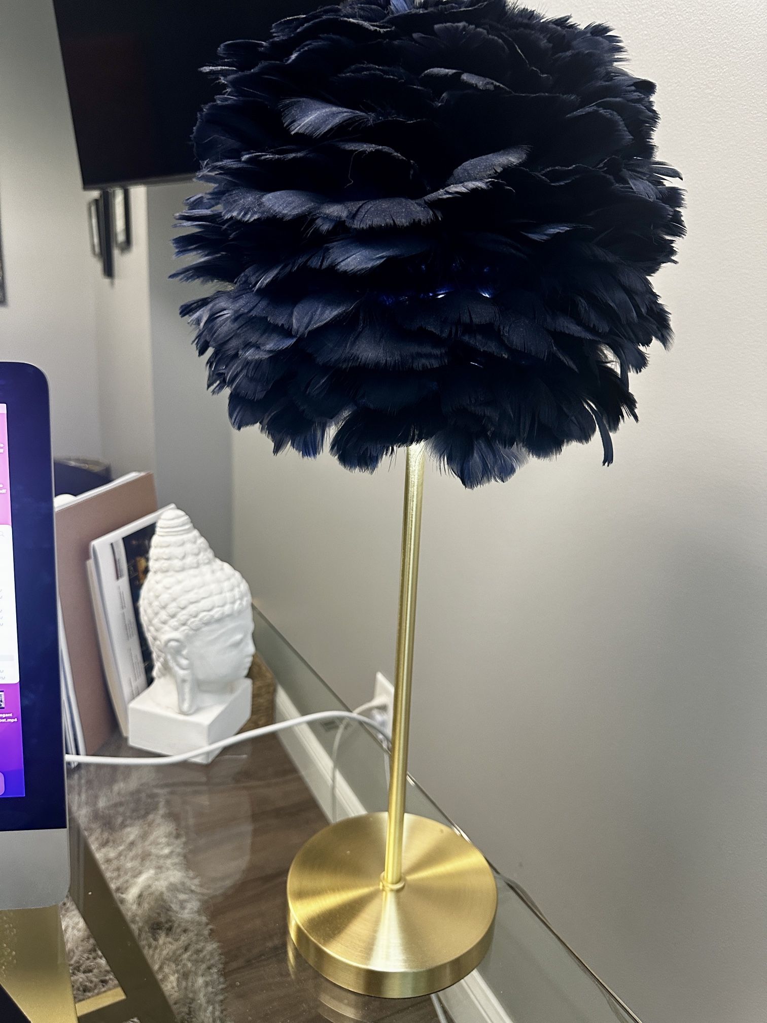 Navy Blue Feather Lamp HOMEGOODS