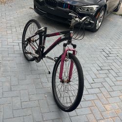 Bicycle Mountain Bike