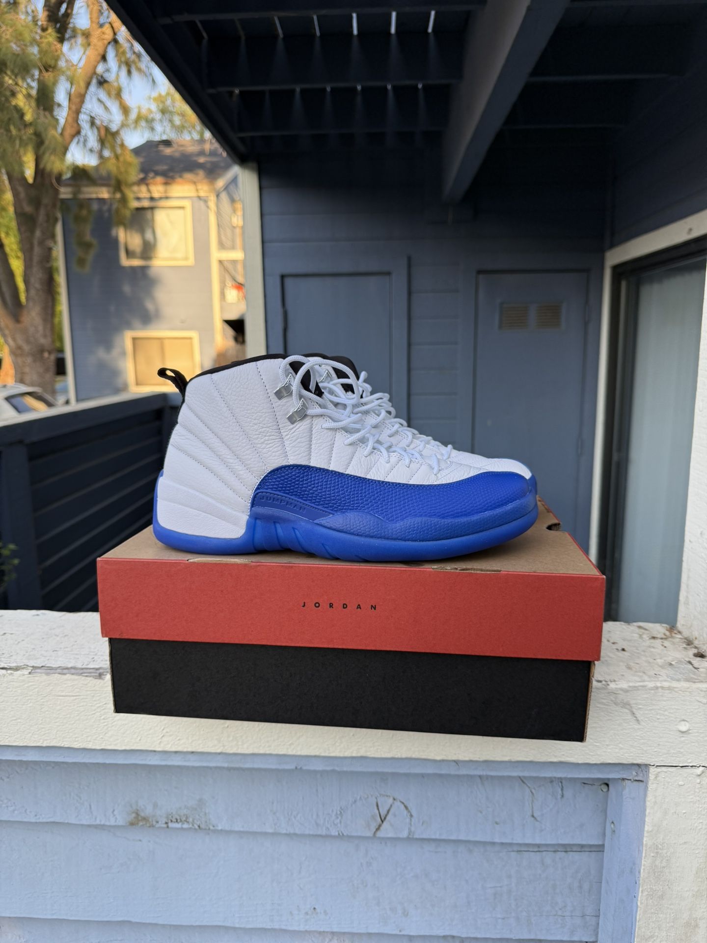 Jordan 12 Blueberry Size 11.5