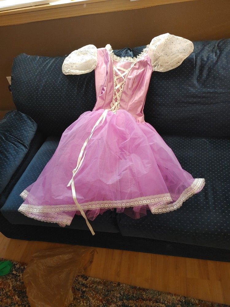 Rapunzel Type Dress, Halloween Costume