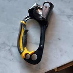 Petzl Ascension Ascender
