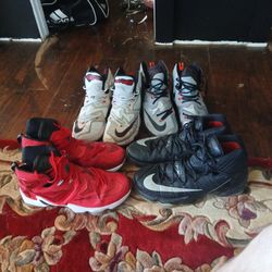 Lebron 13s