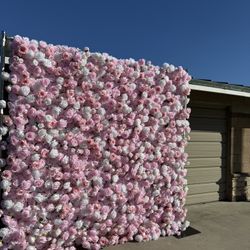 Light Pink Flower Wall Baby Shower 