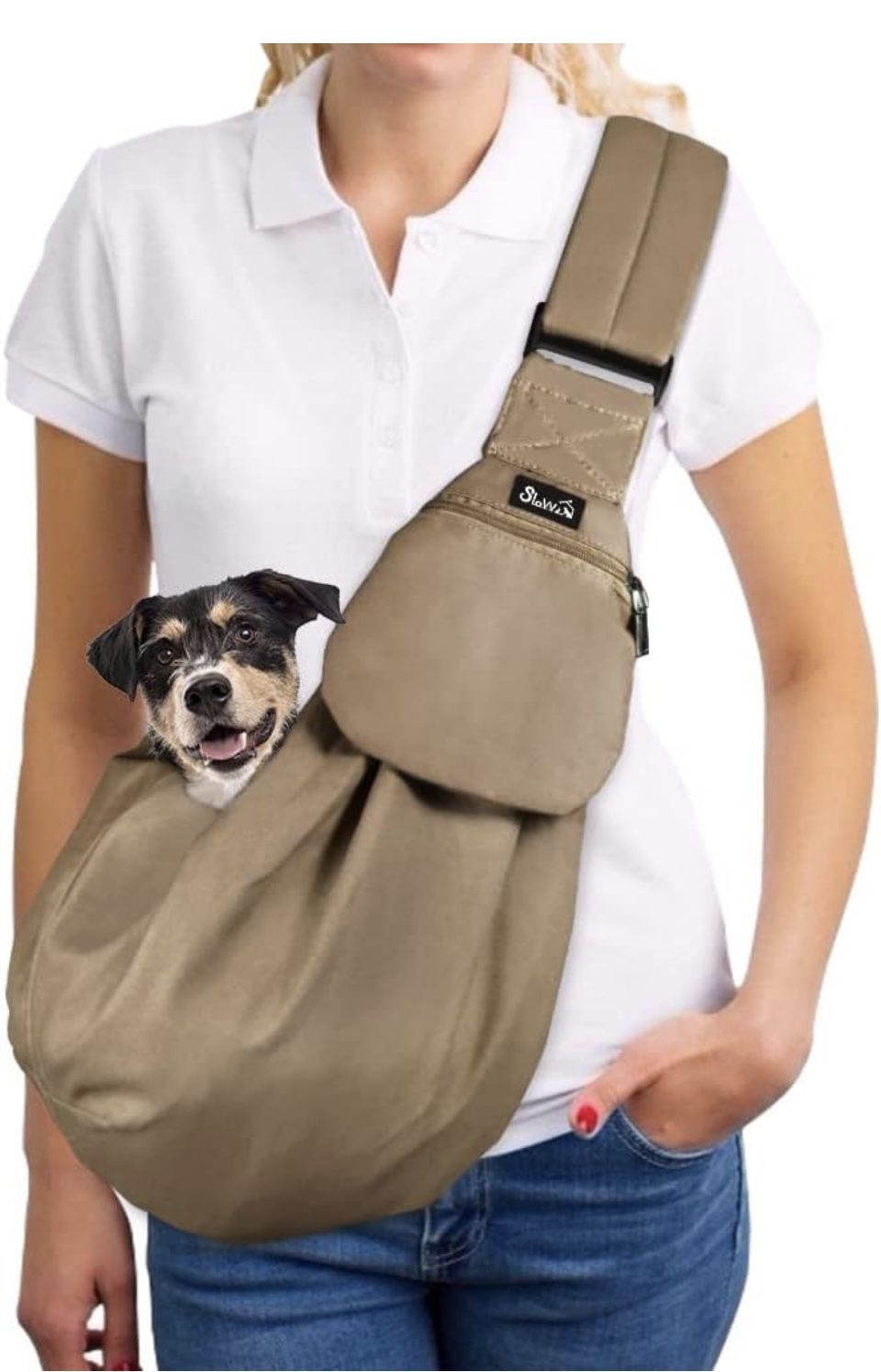 Dog Carrying 