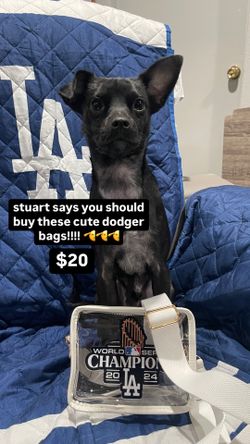dodger stadium approved clear bag!
