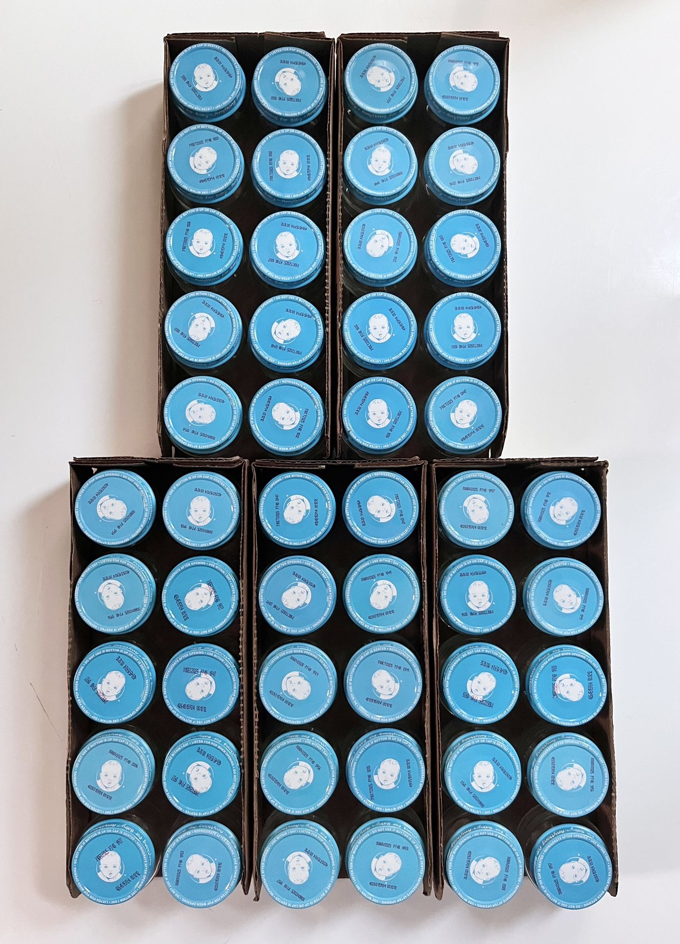 Empty 2.5oz Baby Food Jars