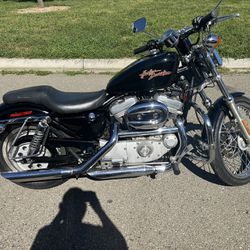 2000 Harley Davidson Sportster Custom