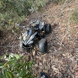 4 Wheeler (won’t Crank )