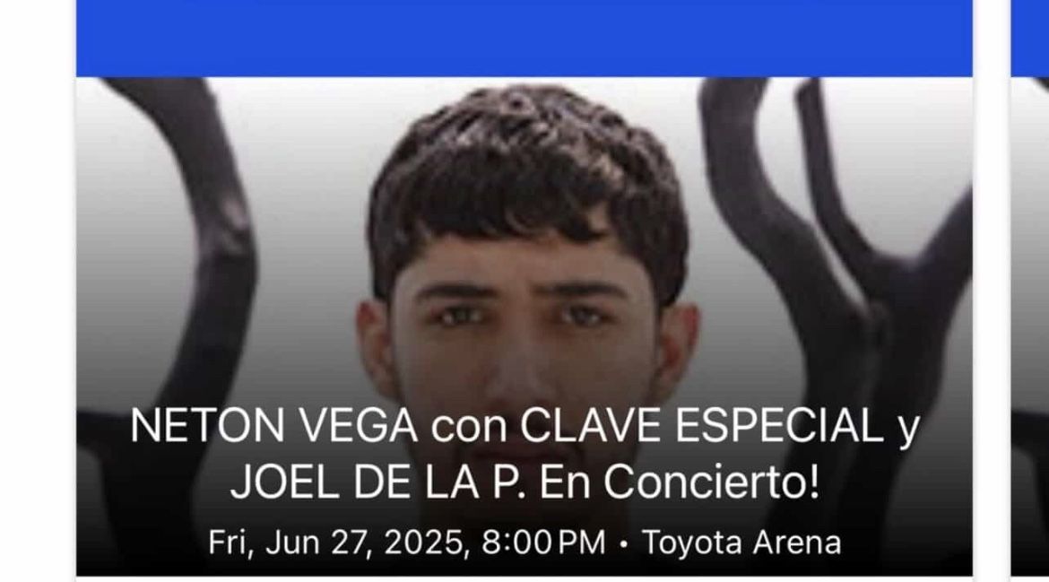 Neton Vega