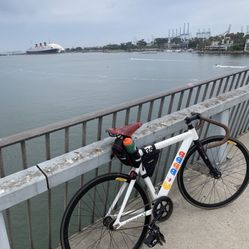 Leader 735 Small Frame Brooks Seat Gator tires Ready To Ride 