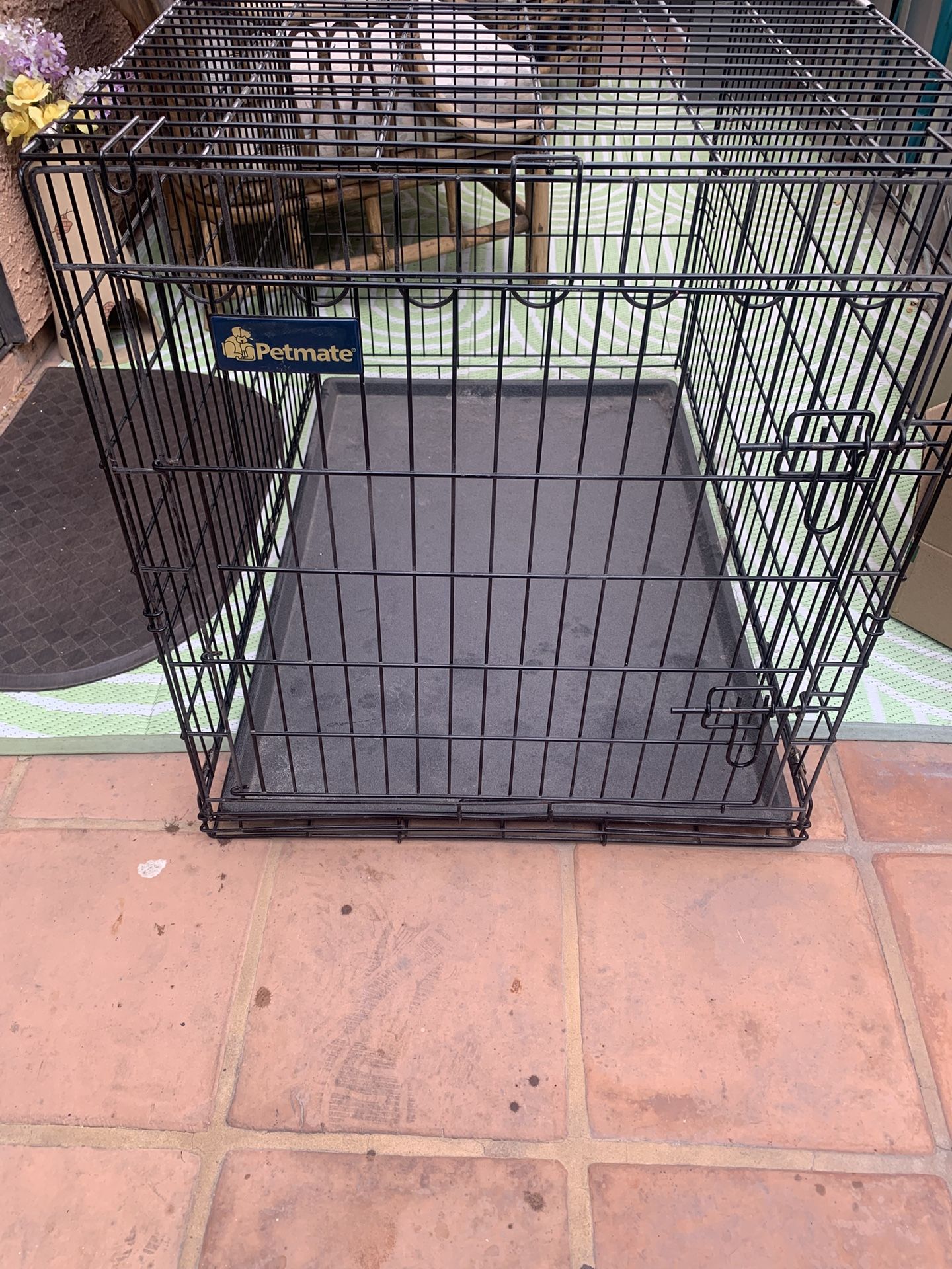 Dog Kennel