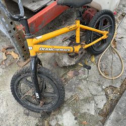 16 In Dyno Bike 
