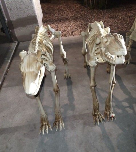 Halloween decoration 