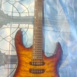 RH Washburn WR150 guitar