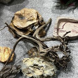 Aquarium Supplies For Fish