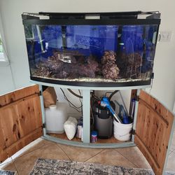 75 gallon bow-front aquarium With Stand