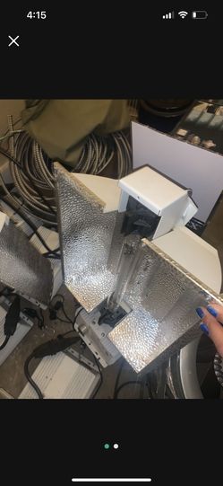 Hydro Crunch Lights