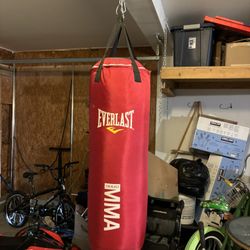 EVERLAST Punching Bag