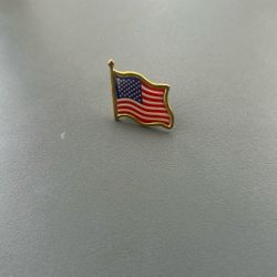 1 American Flag Brooch