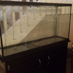 65 Gallon Fish Tank, Stand, and Supplies, Used Once Must Pick Up