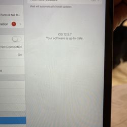 iPad Mini 2