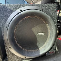 12” Subwoofer 
