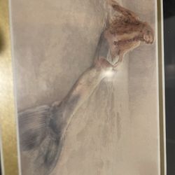 Beautiful mermaid framed 8 by 10e