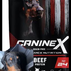 Dog Food 